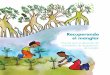 Recuperando el Manglar. Manual para el desarrollo de actividades de recuperación de manglar