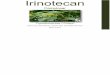 Irinotecan - Topoisomerase Poison