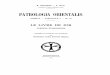 Patrologia Orientalis Tome II - Fascicule 5 - No. 10 - Le livre de Job Version ethiopienne