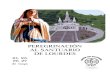 Libro Del Peregrino - Peregrinación al Santuario de Lourdes