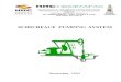 Subsurface Pumping System