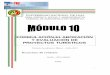 Módulo 10 Formulación Elaboración y Evaluación de Proyectos Turísticos1