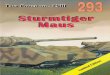 (Wydawnictwo Militaria No.293) Sturmtiger/Maus