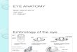 Eye Anatomyanatomi