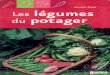 Legumes Du Potager