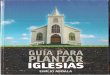 Guía Para Plantar Iglesias - Emilio Abdala