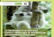La Vulnérabilité de Quelques Espèces Terrestres de Madagascar au Changement Climatique (NORAD, WWF – 2011)
