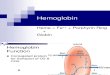 04A Hemoglobin