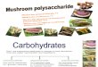 Mushroom Polysaccharide1