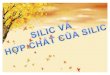Silic Va Hop Chat (2)