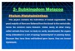 Subkingdom Metazoa 2(Dr.Nagwa)