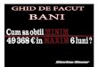 Cum Sa Obtii Minim 49 368 Euro in Maxim 6 Luni - Www.streetofmoney.com_book_ro by Marian Bucur