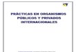 Practicas en Organismos Publicos y Privados Internacionales[1]