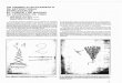 1989-2 Un primer Planteamiento de Estructuras Desplegables El Codice I de Leonardo