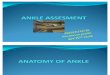 Ankle Assesment