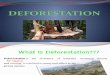 Deforestation Presentation 2010