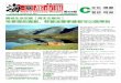 Metro Chinese Weekly | 海华都市报 #426 C