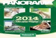 Revista Panorama - Ano 05 - Nº 08 - Abril 2015