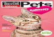 Time Out Pets junio 2015