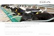 Dairyfarming tier und stalltechnik 2014 brosch%c3%bcre 0415 tcm30 23184