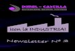 Newsletter III de Dimel Castilla
