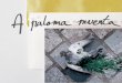 Catálogo - A paloma muerta ( Estudio22, 2015 )