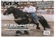 MX Magazine Quinta Edición