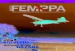 Revista Piloto FEMPPA 33