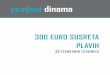300 eurosusreta Dinama
