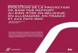 Evolution protection de base par rapport au bien-être en Belgique, Allemagne, France et Pays-Bas