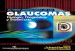 Ultimas innovaciones en los Glaucomas etiologia diagnostico y tratamiento
