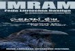 IMRAM 2015 programme
