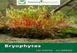 040 Bryophytes