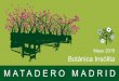 Botánica Insólita 2015 Matadero