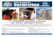 Jornal da Exposição Nordestina (2013)