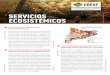 CREAF SERVICIOS ECOSISTÉMICOS (ES)