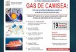 Exposición del congresista Manuel Dammert sobre el Acuerdo Patriotico sobre el Gas de Camisea