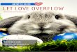 20160328 0403 let love overflow weekly