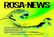 Revista Rosa News - Edição 2.9