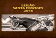 Catálogo Leilão Cabanha Santa Edwiges 2016