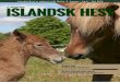 Nyt islandsk hest april maj 2016