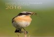 Широкоразпространените птици в България 2016