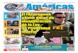 3 de junio 2016 - Las Américas Newspaper