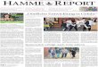 Hamme Report vom 03.07.2016