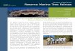 Boletín Informativo sobre la Reserva Marina Tres Palmas