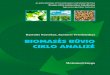 Biomases buvio ciklo analize.pdf