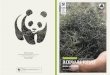 BUDIDAYA RUMPUT LAUT - WWF Indonesia