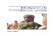 Introducción a la Protección Internacional