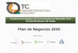 Plan de Negocios TC Transportadora Callao - 2015
