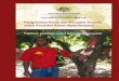 Pengelolaan Hama dan Penyakit Terpadu untuk Produksi Kakao 
